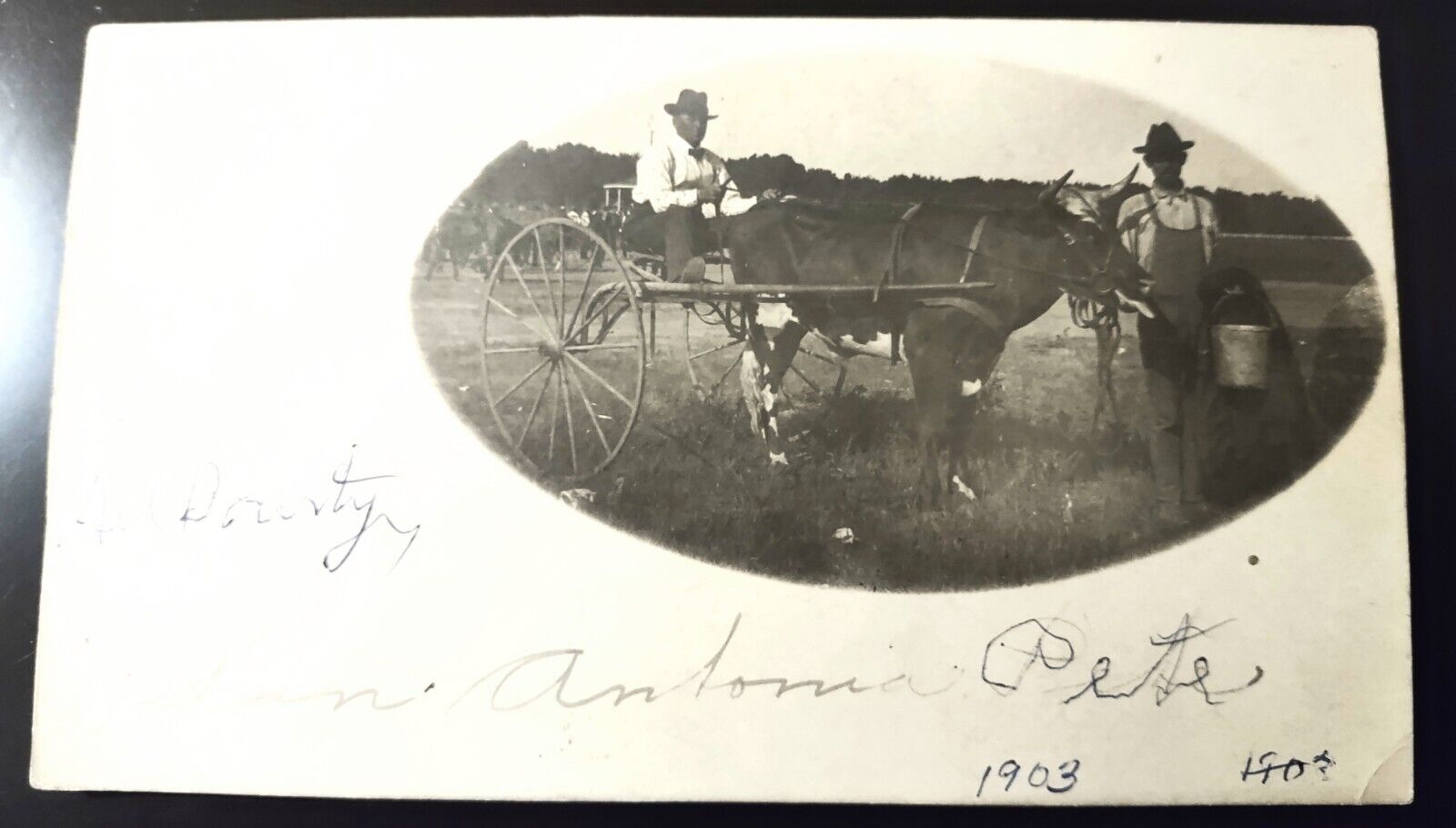 RPPC VINTAGE REAL PHOTO POSTCARD MAN SITTING IN SULKY GETTING READY TO RACE BULL