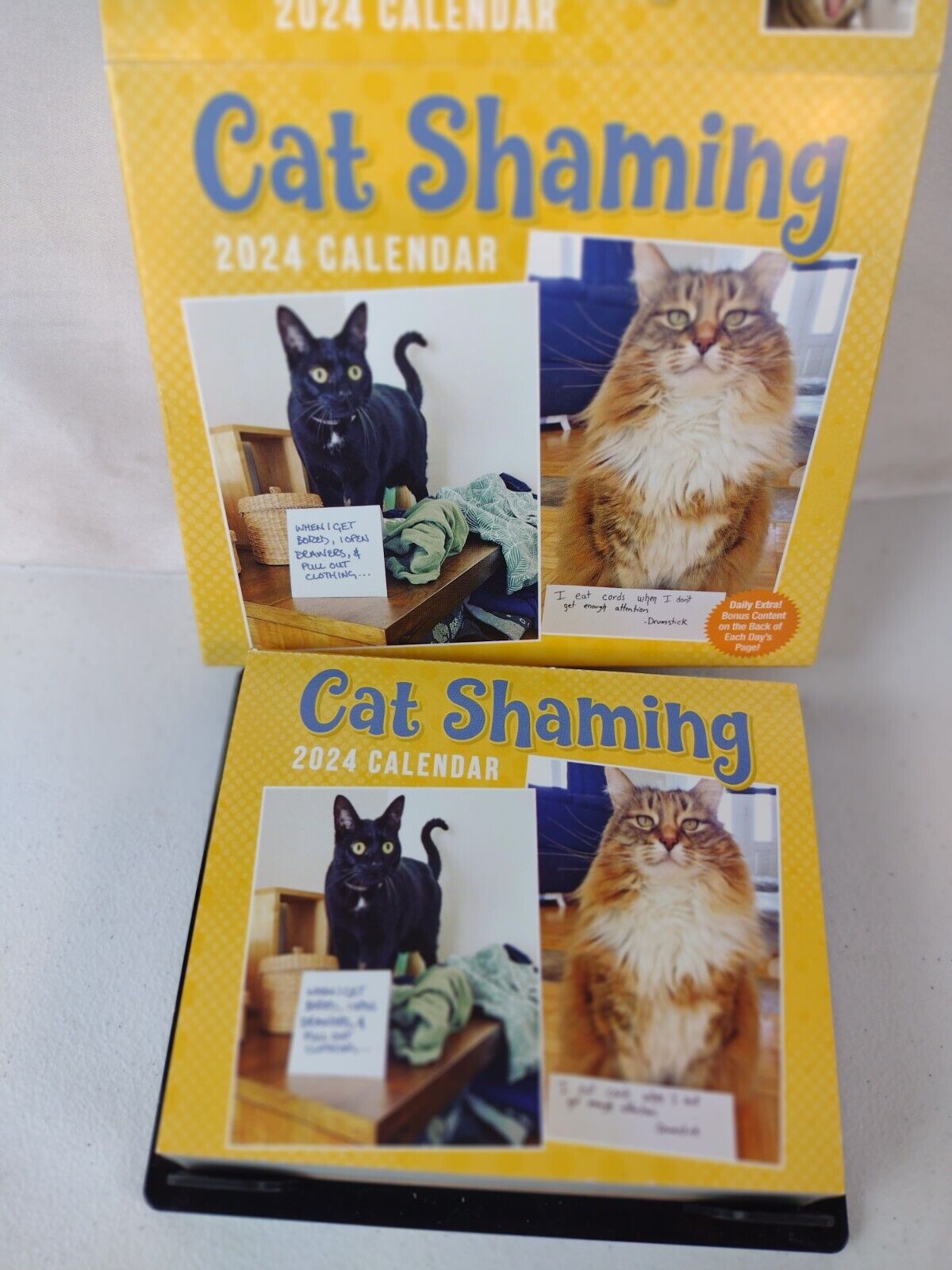 Andrews McMeel Publishing,  Cat Shaming 2024 Desk Calendar