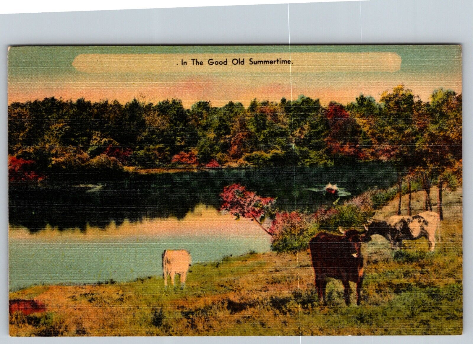 COWS SCENICFERNDALE NEW YORK NY GREETINGS VIEW POSTCARD VINTAGE POSTCARD