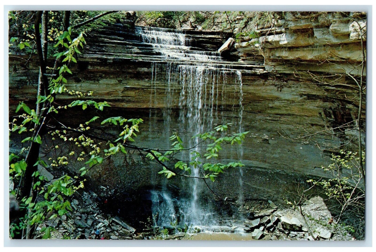 1969 Clifty Falls Trees Scene Clifty Falls State Park Madison Indiana Postcard