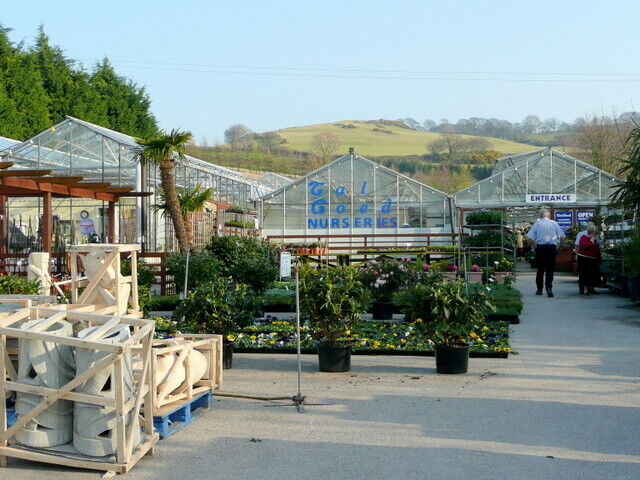 Photo 6x4 Tal Goed Nurseries Graig A real nursery that grows most of its  c2009
