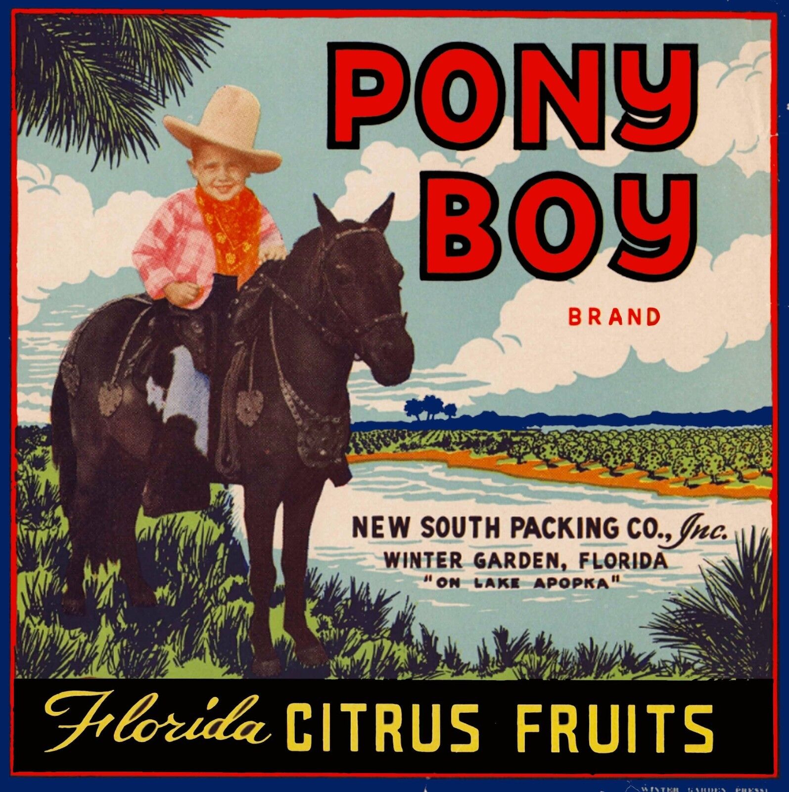 Winter Garden Florida Pony Boy Brand Orange Citrus Fruit Crate Label Art Print