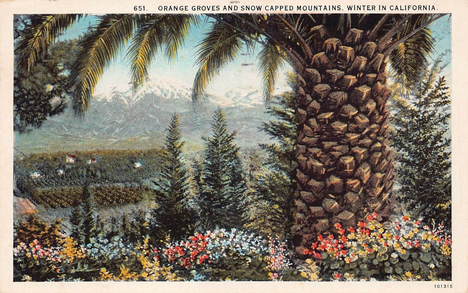 Los Angeles Pasadena California Orange Groves Mt Wilson Winter Vtg Postcard A37