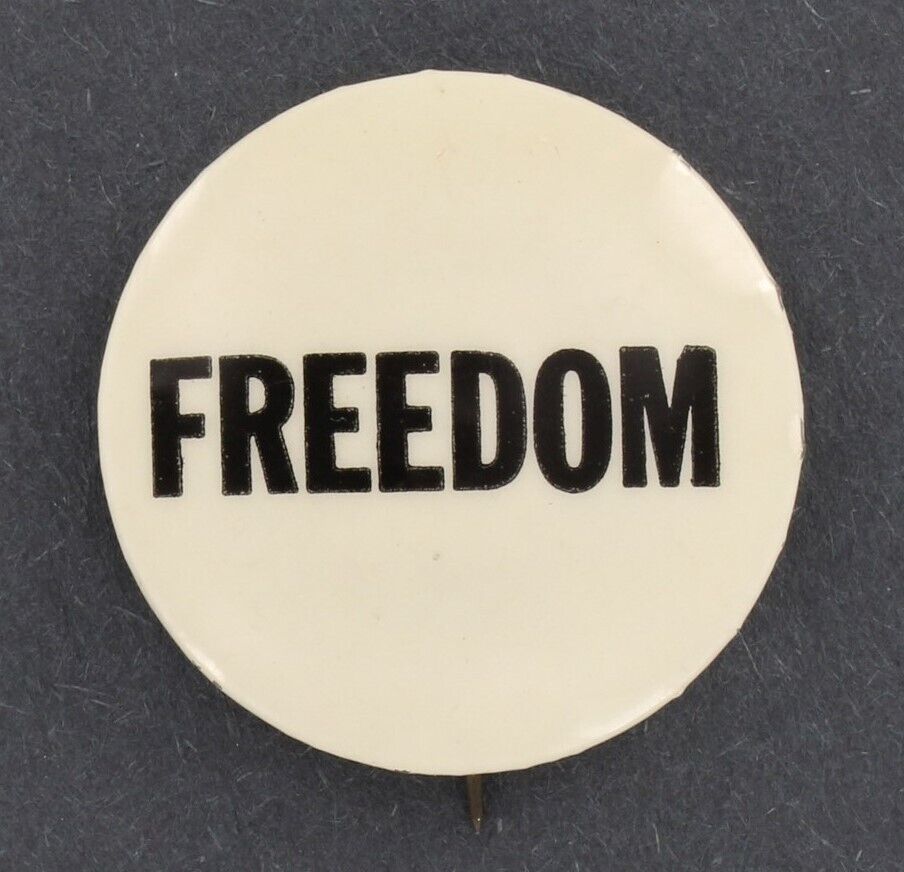 SNCC Mississippi Freedom Summer 1964 Original Pin Black Civil Rights Movement 