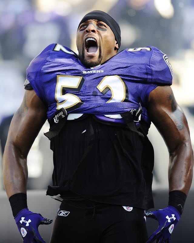 2012 Baltimore Ravens RAY LEWIS 8X10 PHOTO PICTURE 22050700232