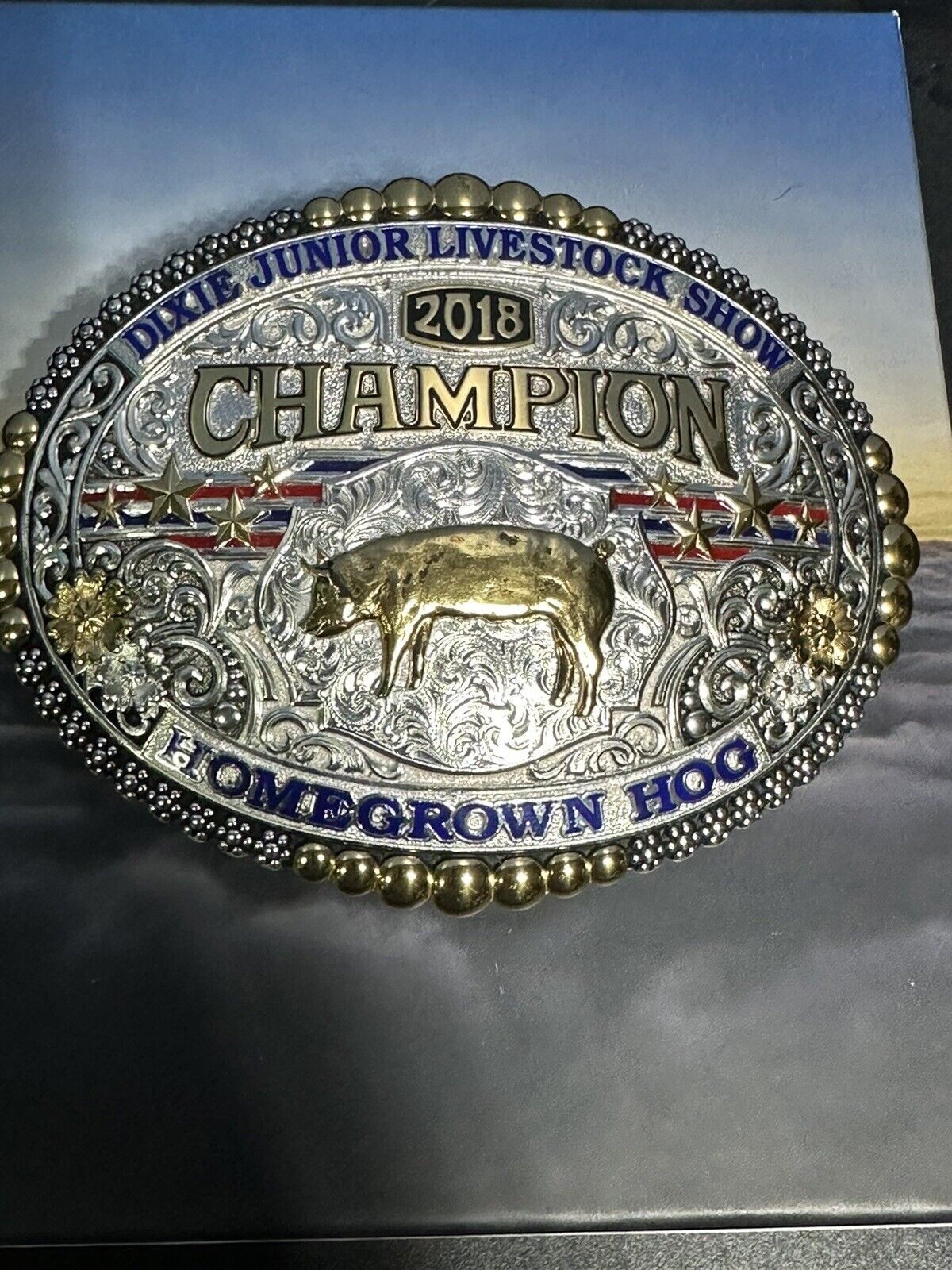 2019 Jr Dixie Livestock Dixie Homegrown Hog  Champion Belt Buckle by Gist Stars