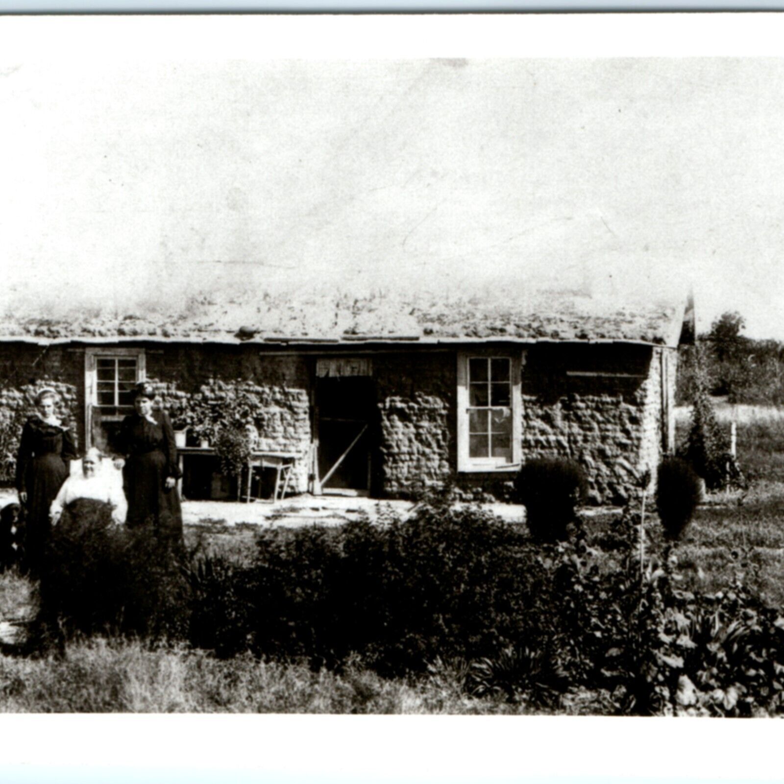 c1910s Pioneer Family Sod House RPPC Prairie Soddie Frontier Real Photo Dog A135