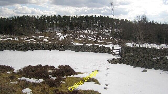 Photo 6x4 Snow drifts by Tibby Tamson\'s Grave Bowhill\\/NT4227 A lot of Ti c2013