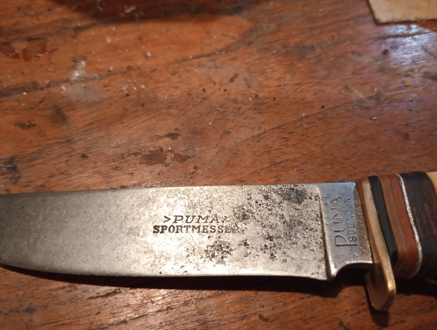 Antique Buck Knife