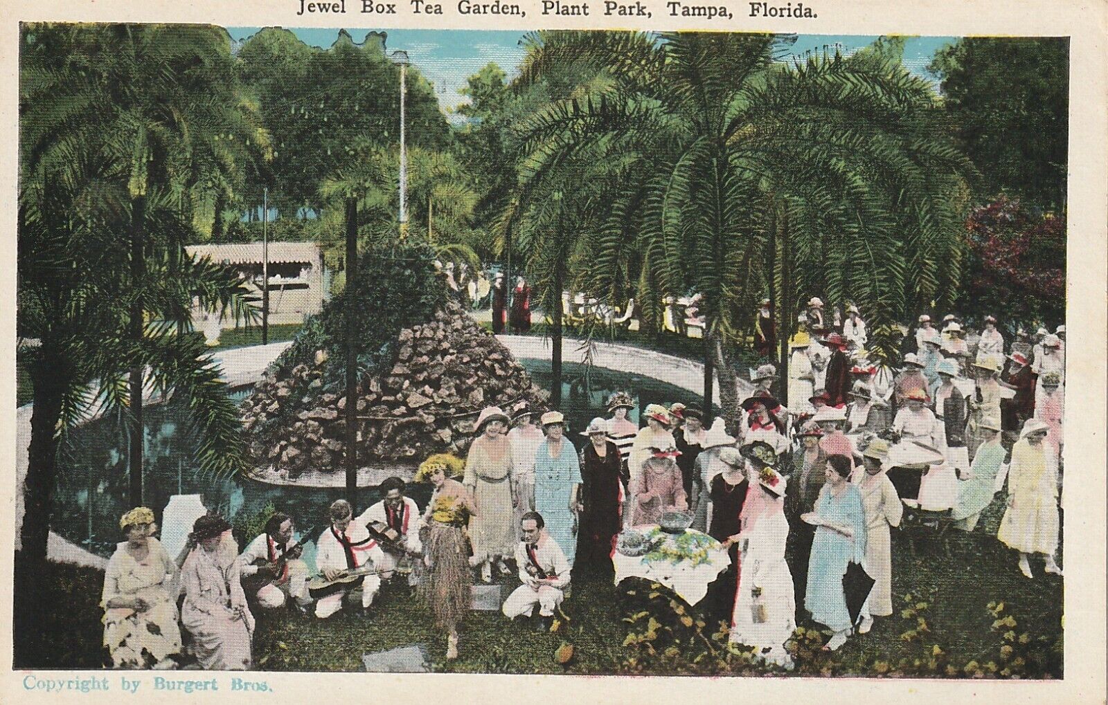 Jewel Box Tea Garden Plant Park Tampa Florida Unposted Burgert Bros Postcard