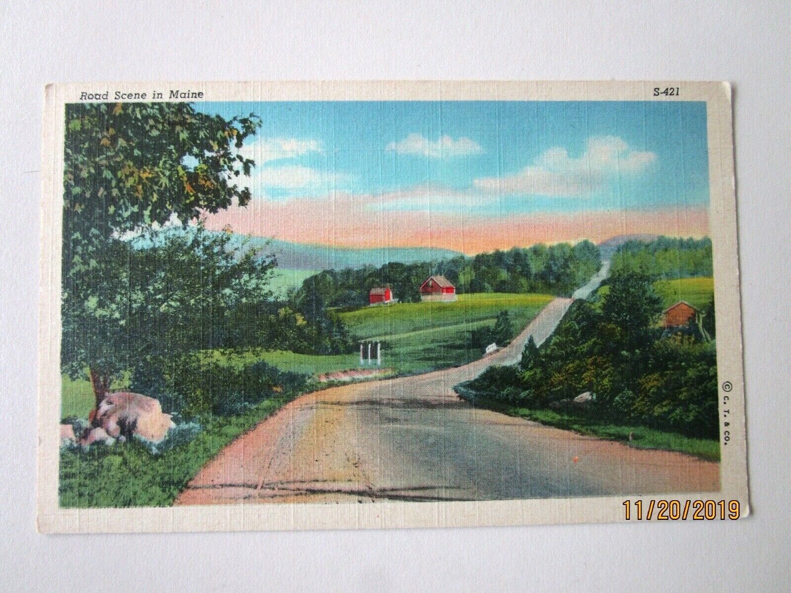 Pretty Road Scene in Maine Vintage Linen Postcard - G30