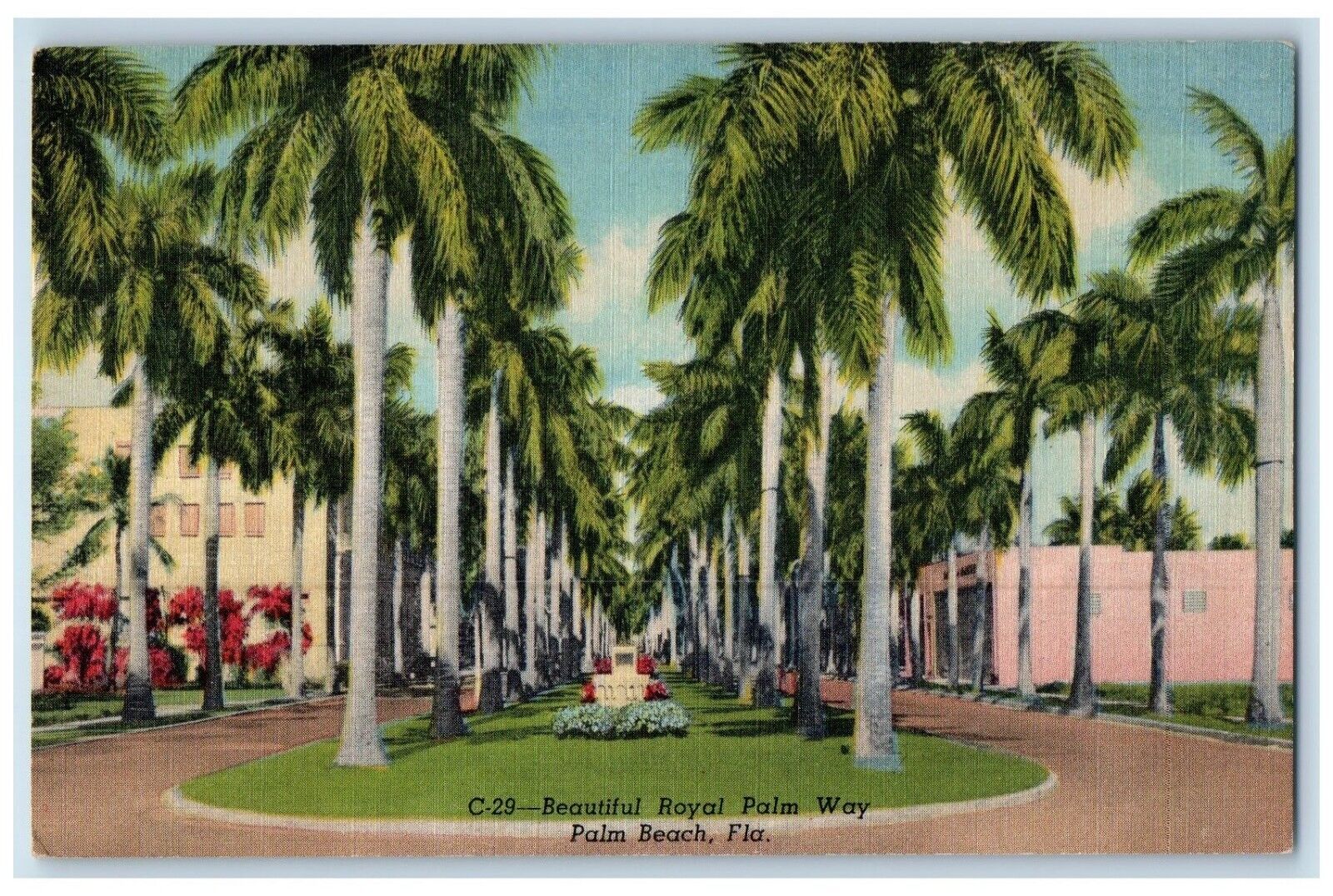 1954 Beautiful Royal Palm Way Trees Palm Beach Florida FL Vintage Postcard