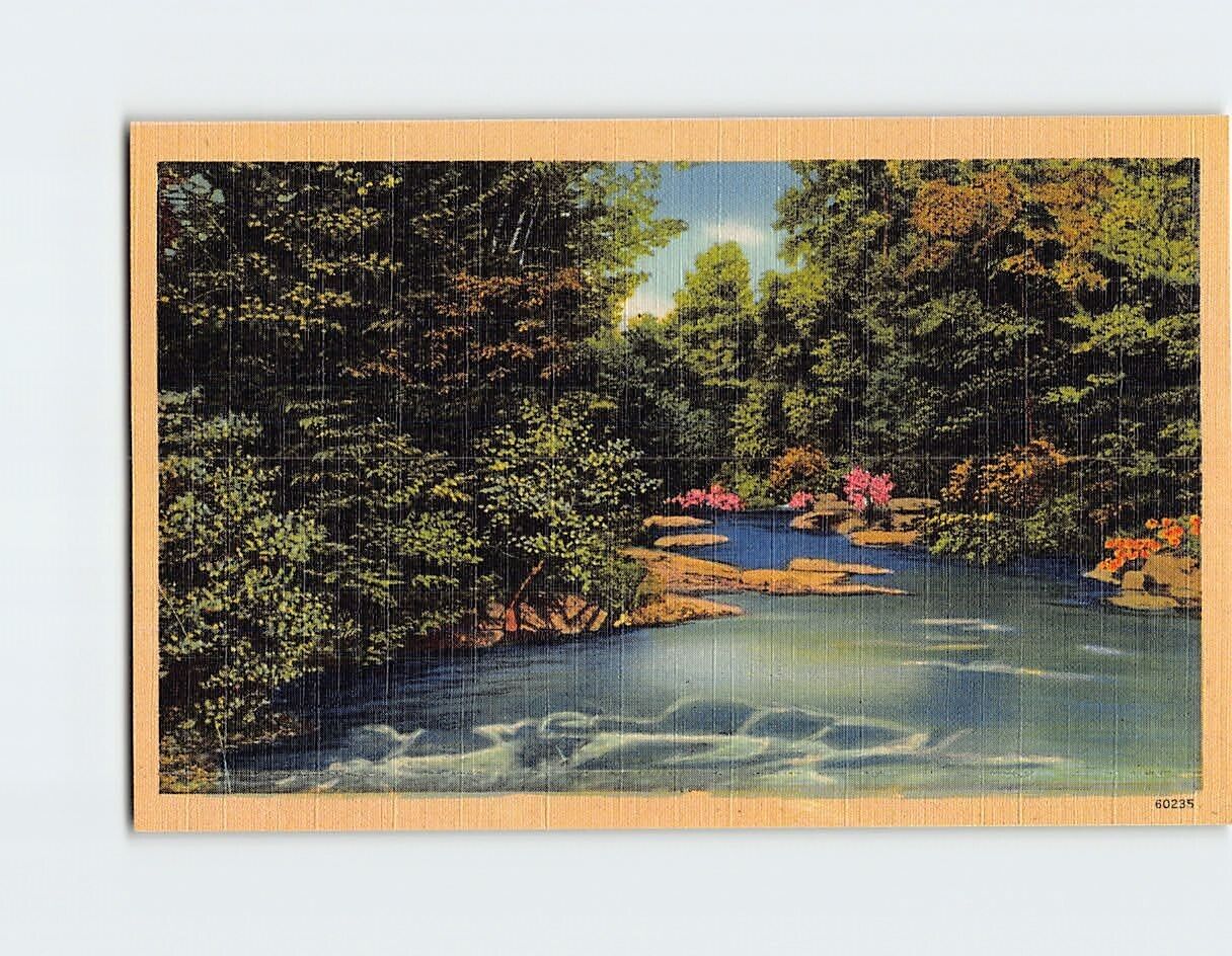 Postcard Stream/River Nature Scenery