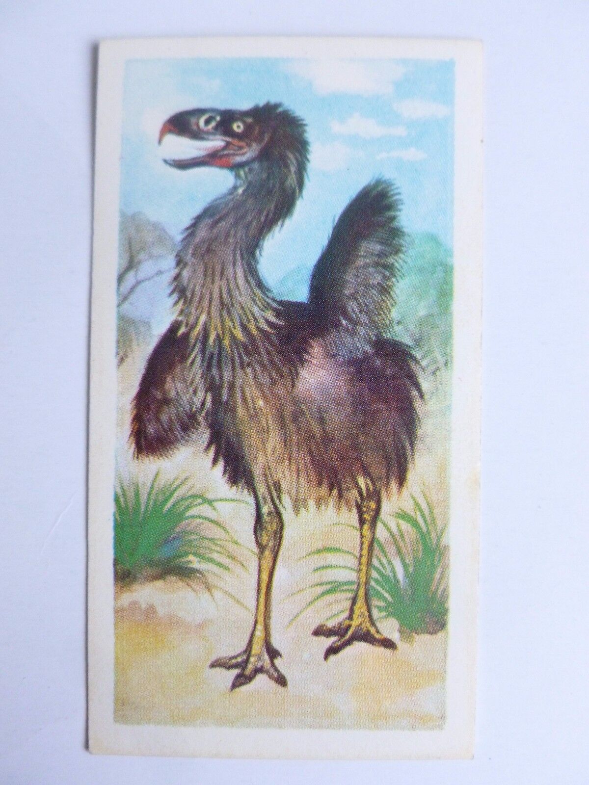 Brooke Bond Prehistoric Animals tea card 30. Phorusrhacos. 