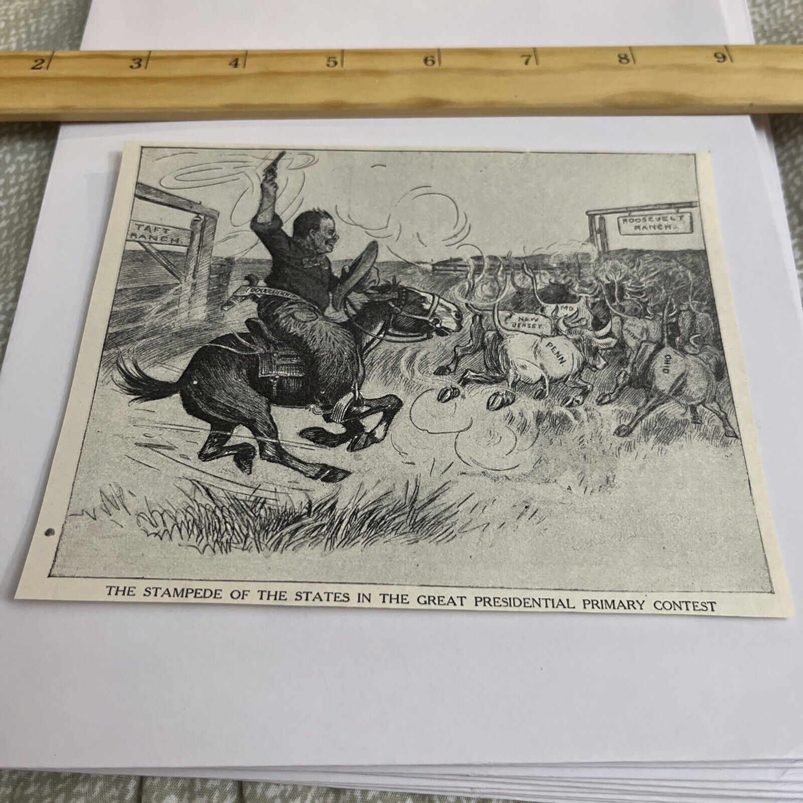 Antique 1912 Cartoon: Teddy Roosevelt Stampede Of States Presidential Primary