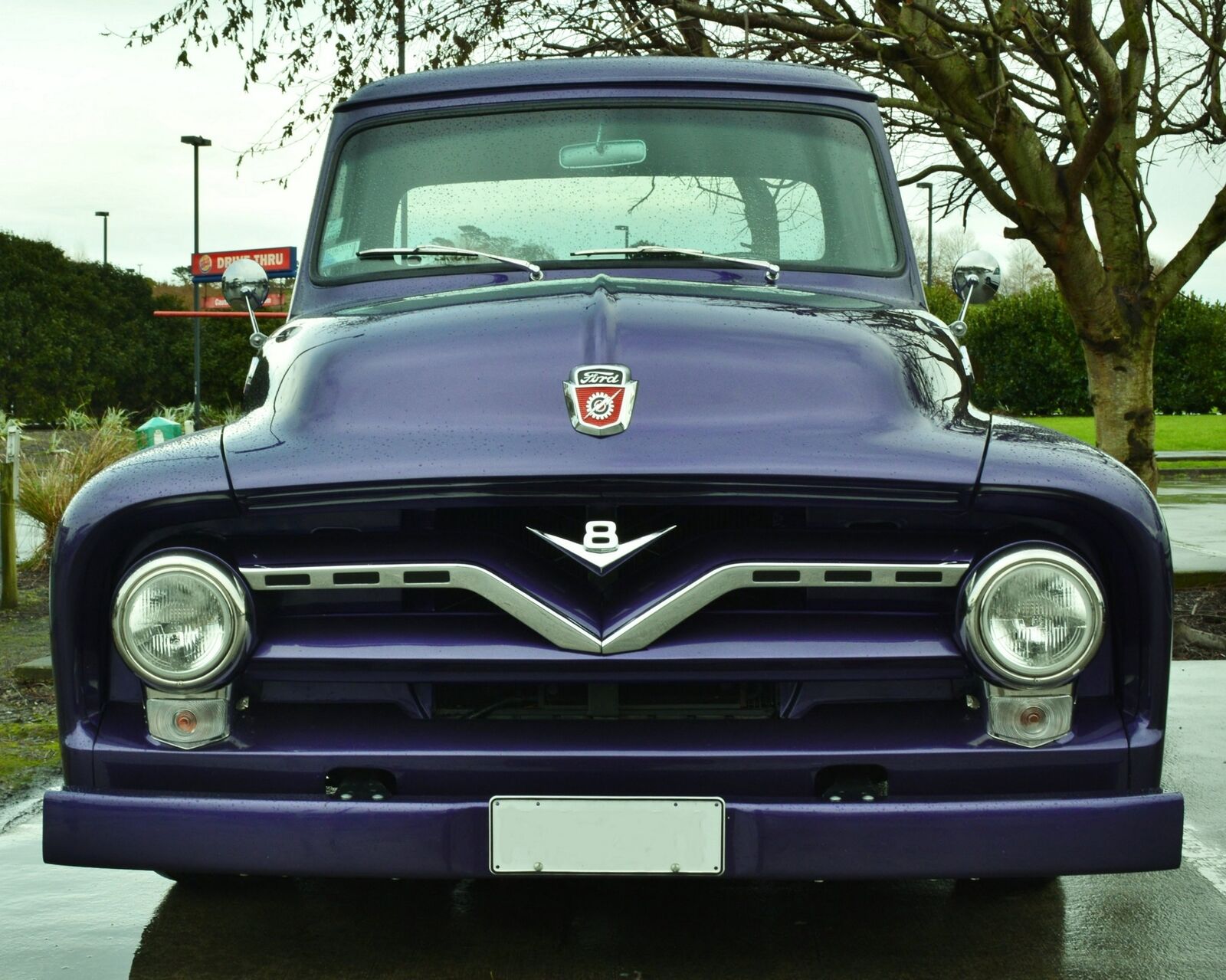 1955 FORD F100 Pickup Truck Photo (226-i)