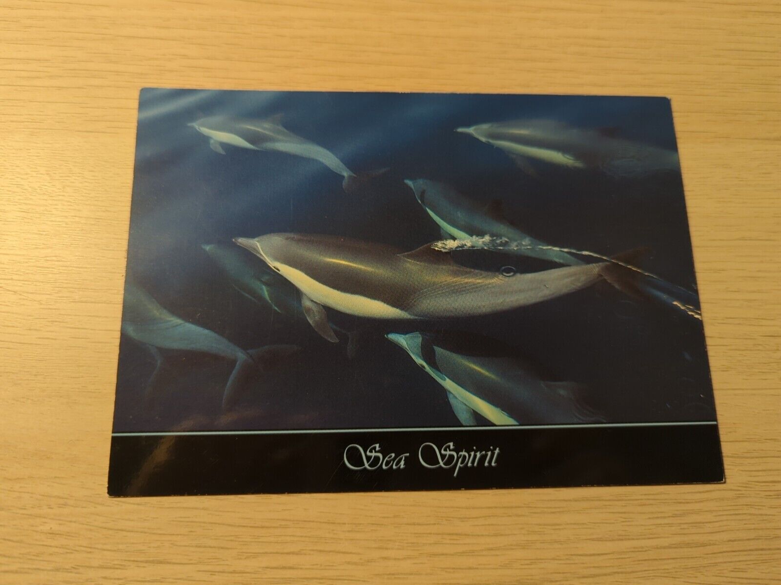 Vintage Sea Spirit Dolphin Postcard 1989 Jeff Divine
