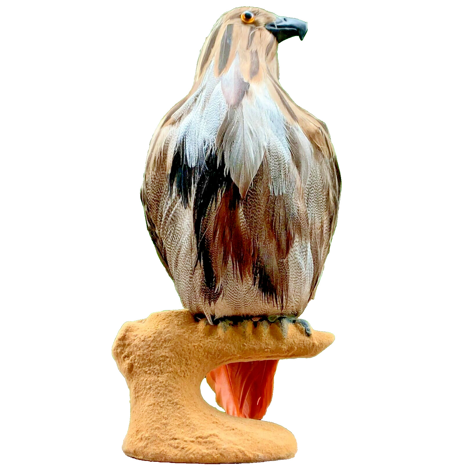 North America Sculptured Red-Tailed Hawk-Falcon Real Feathered Bird Statue