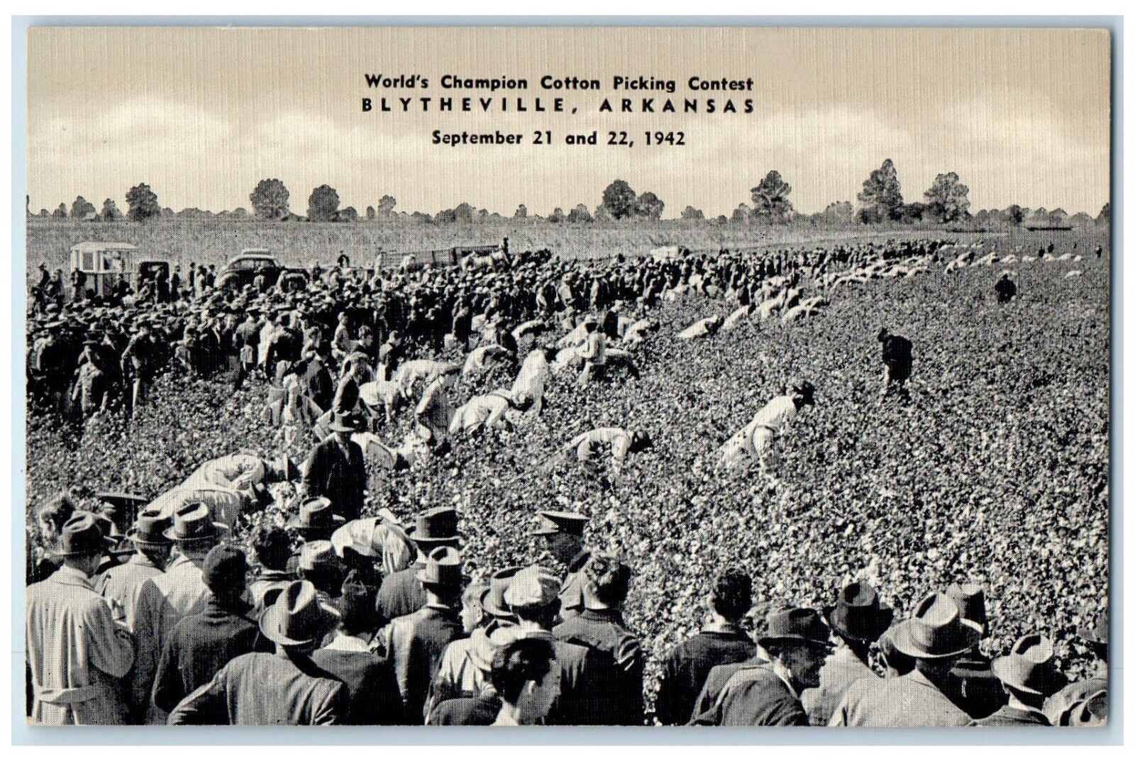 Blytheville Arkansas Postcard World Champion Cotton Picking Contest 1942 Vintage