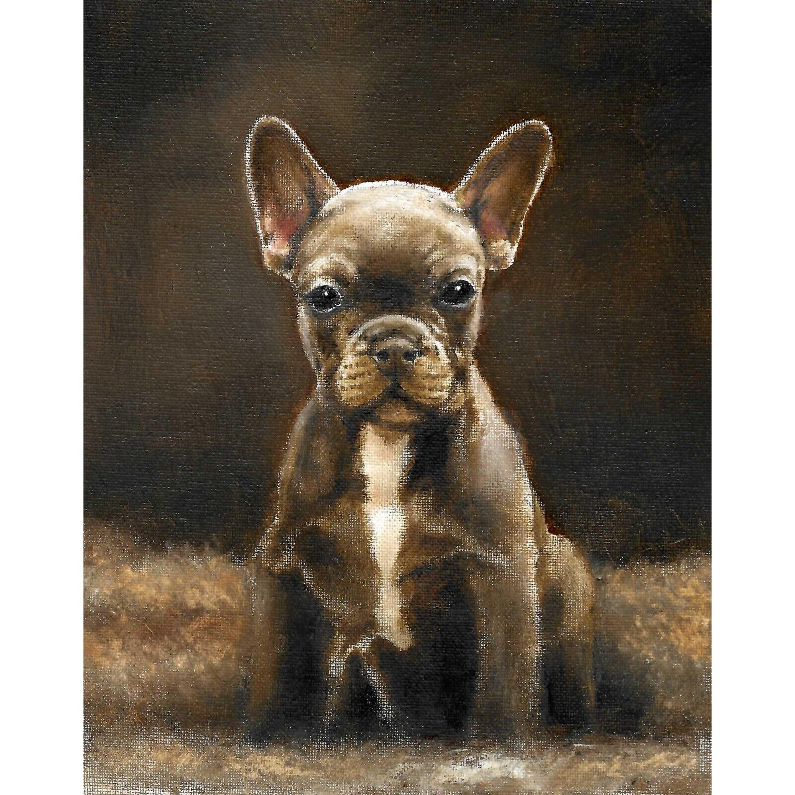 ✿ Original Oil Portrait Painting FRENCH BULLDOG Frenchie Artist Signed Dog Art