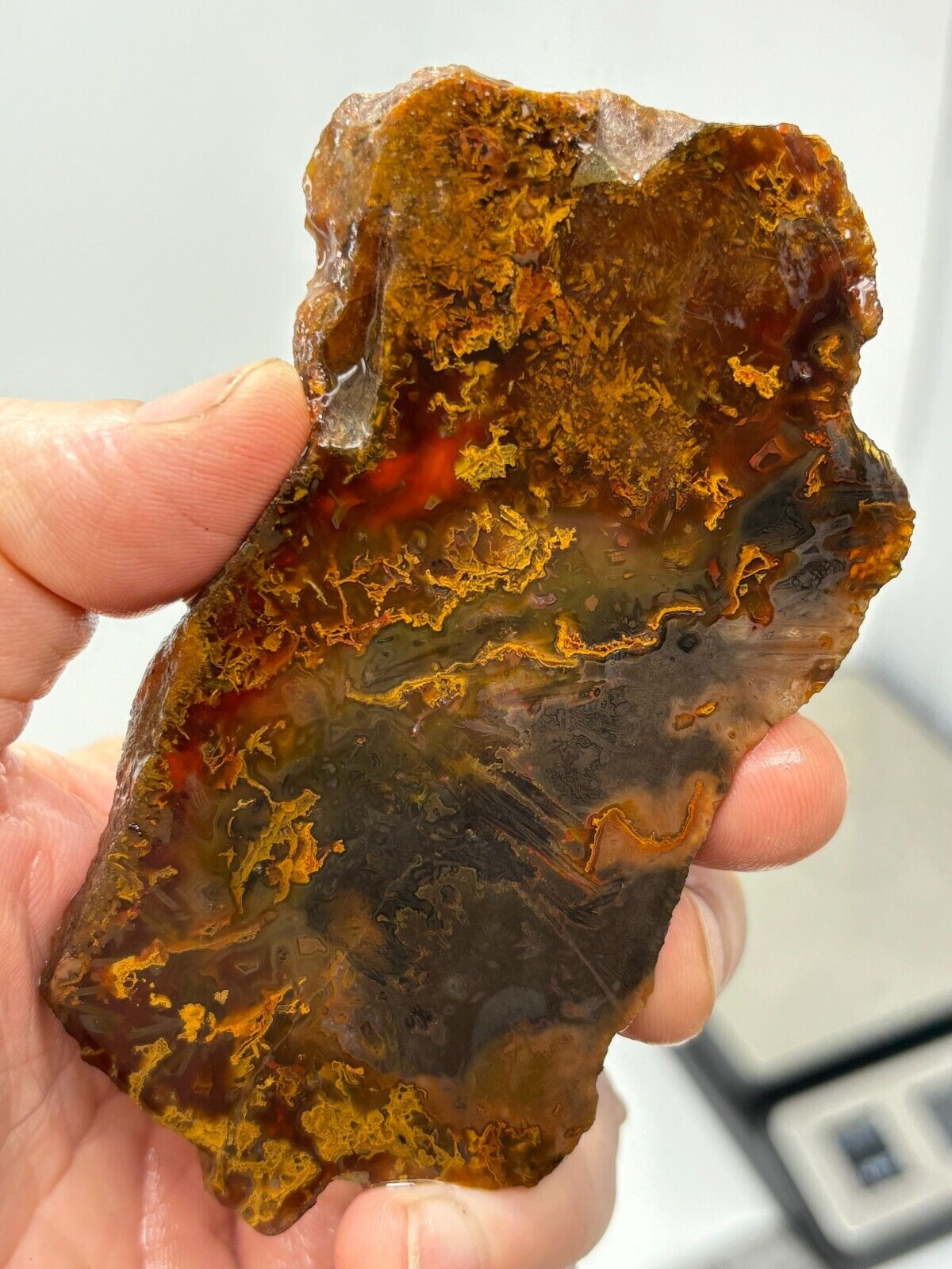 Turkish Agate Slab Cabbing Lapidary Collecting Combo Ship Avail