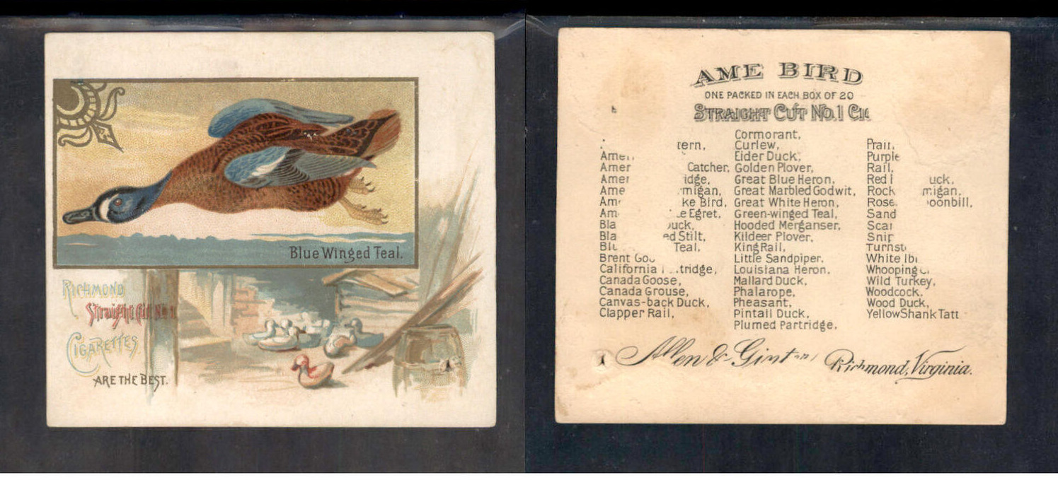 1888 N40 ALLEN & GINTER GAME BIRDS \