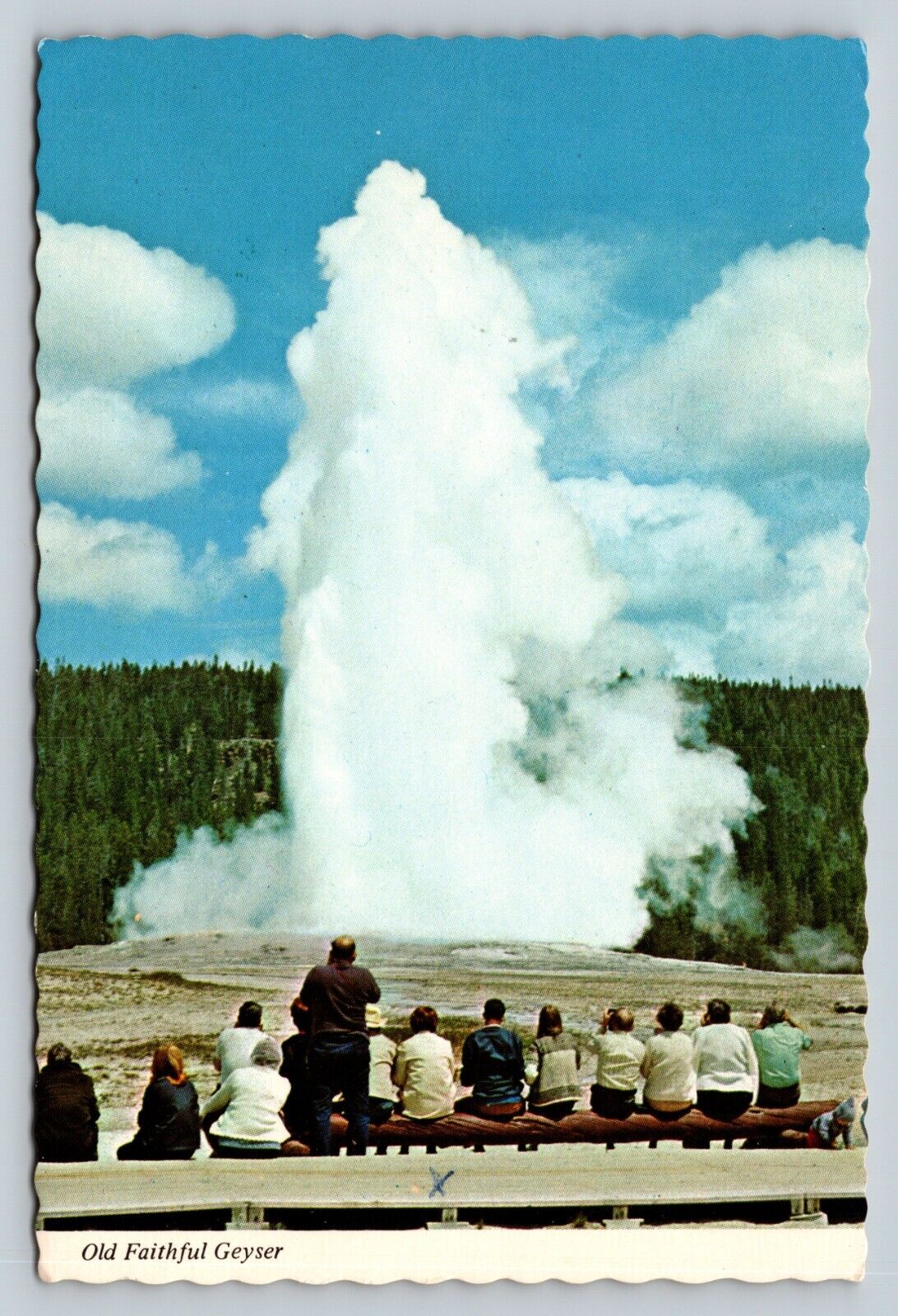 People Viewing Old Faithful Geyser Yellowstone National Park 4x6 Postcard 1776