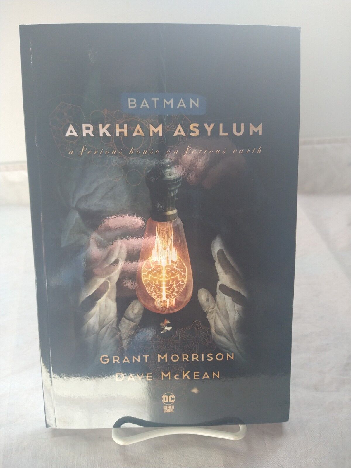Batman: Arkham Asylum Trade Paperback Grant Morrison Dave McKean DC Comics