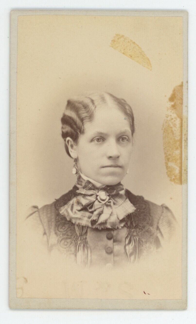Antique CDV Circa 1870s Young Woman Stunning Hairdo Simmons West Liberty, IA