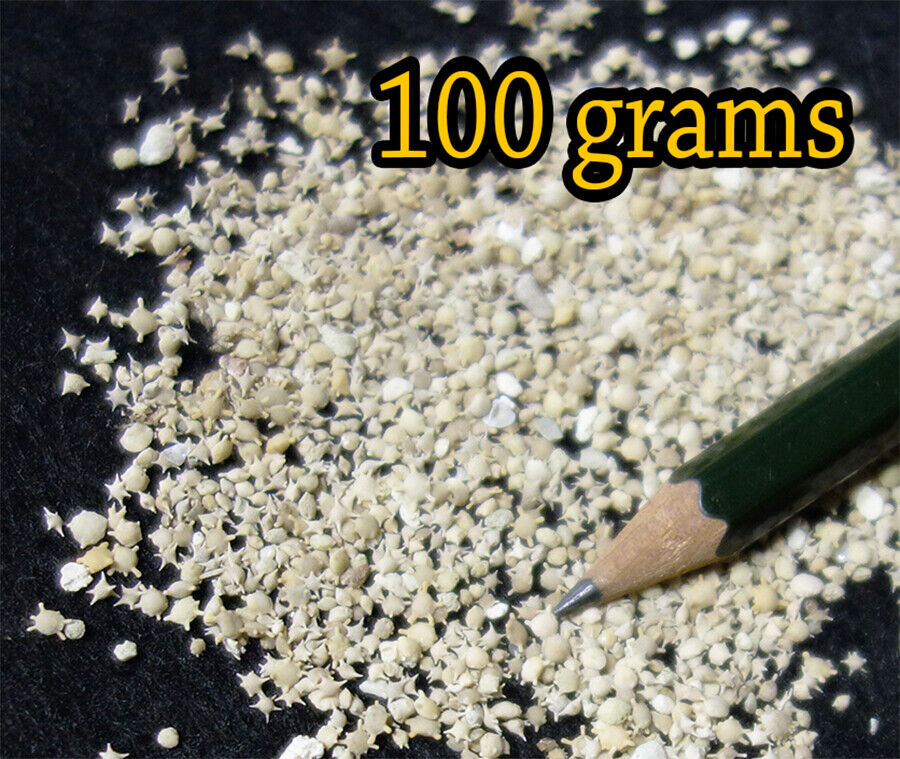 100 grams (3.52oz) - Natural Star Sand Sun Sand from Okinawa Japan beach