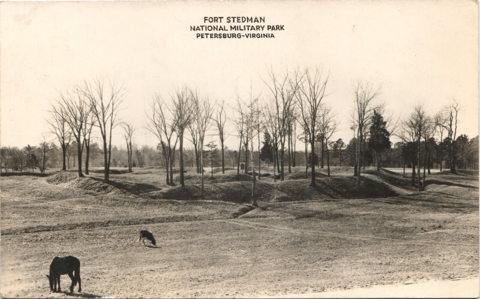 PETERSBURG VIRGINIA FORT STEDMAN photo postcard rppc civil war battlefield va