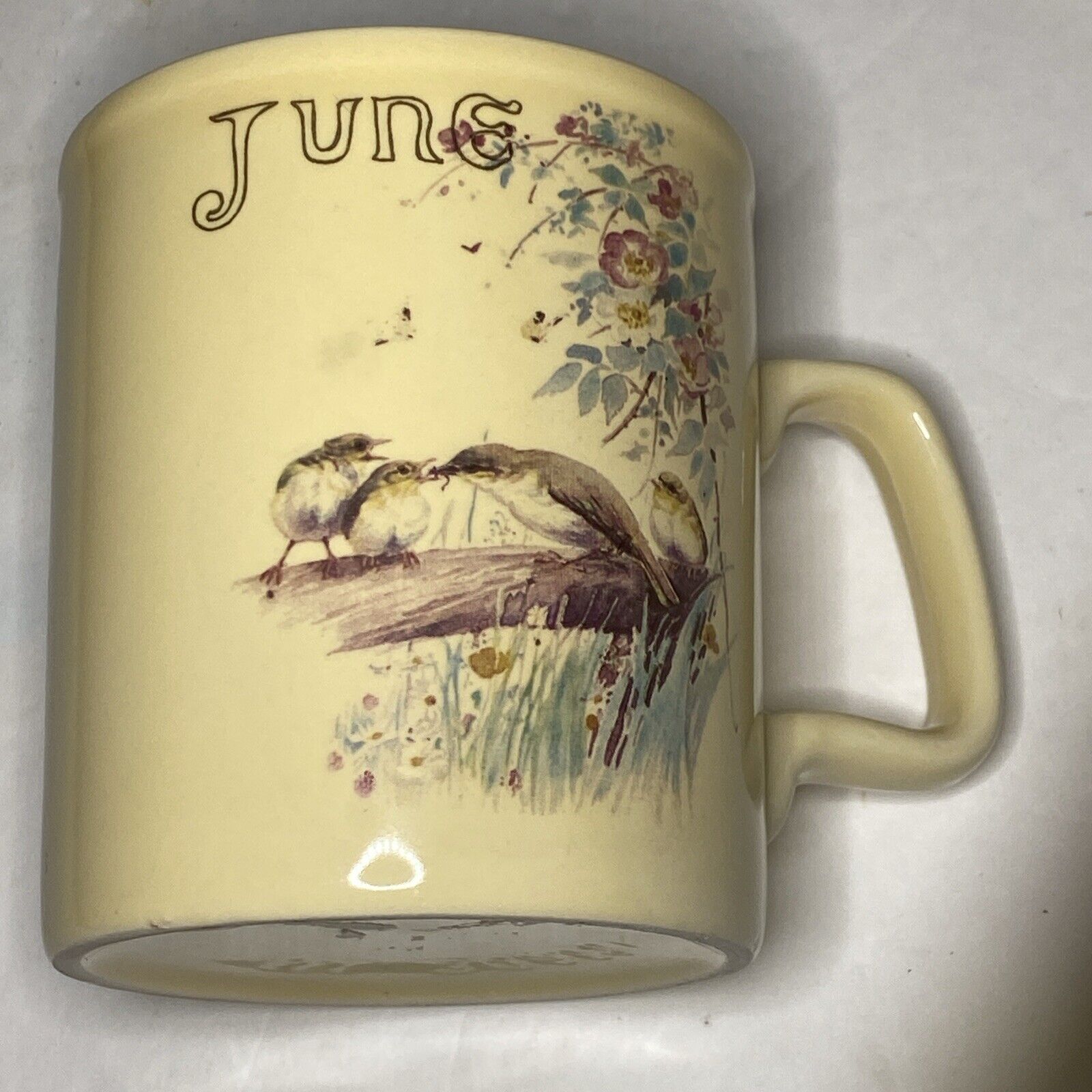 Ceramic month of June 1977 Web and Bower mug Mama And Baby Birds Vintage