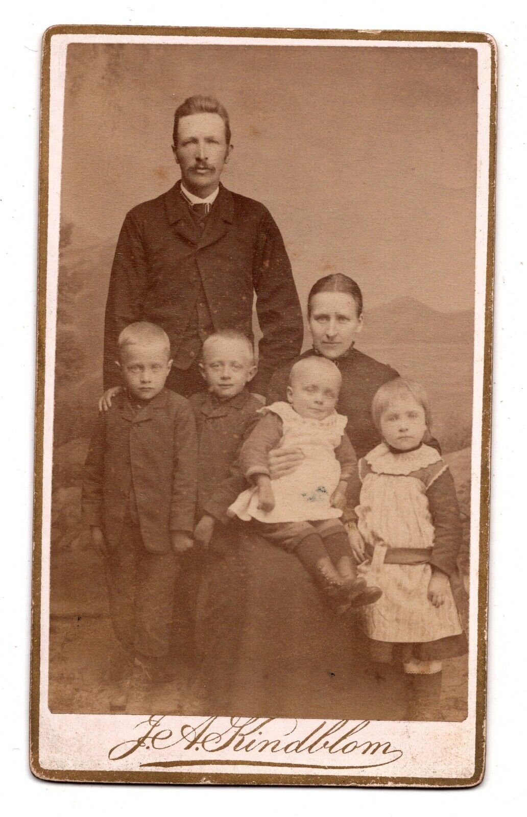 ANTIQUE CDV CIRCA 1880s J.A. KINDBLOM FAMILY OF SIX DETAILED UNNYARD SWEDEN