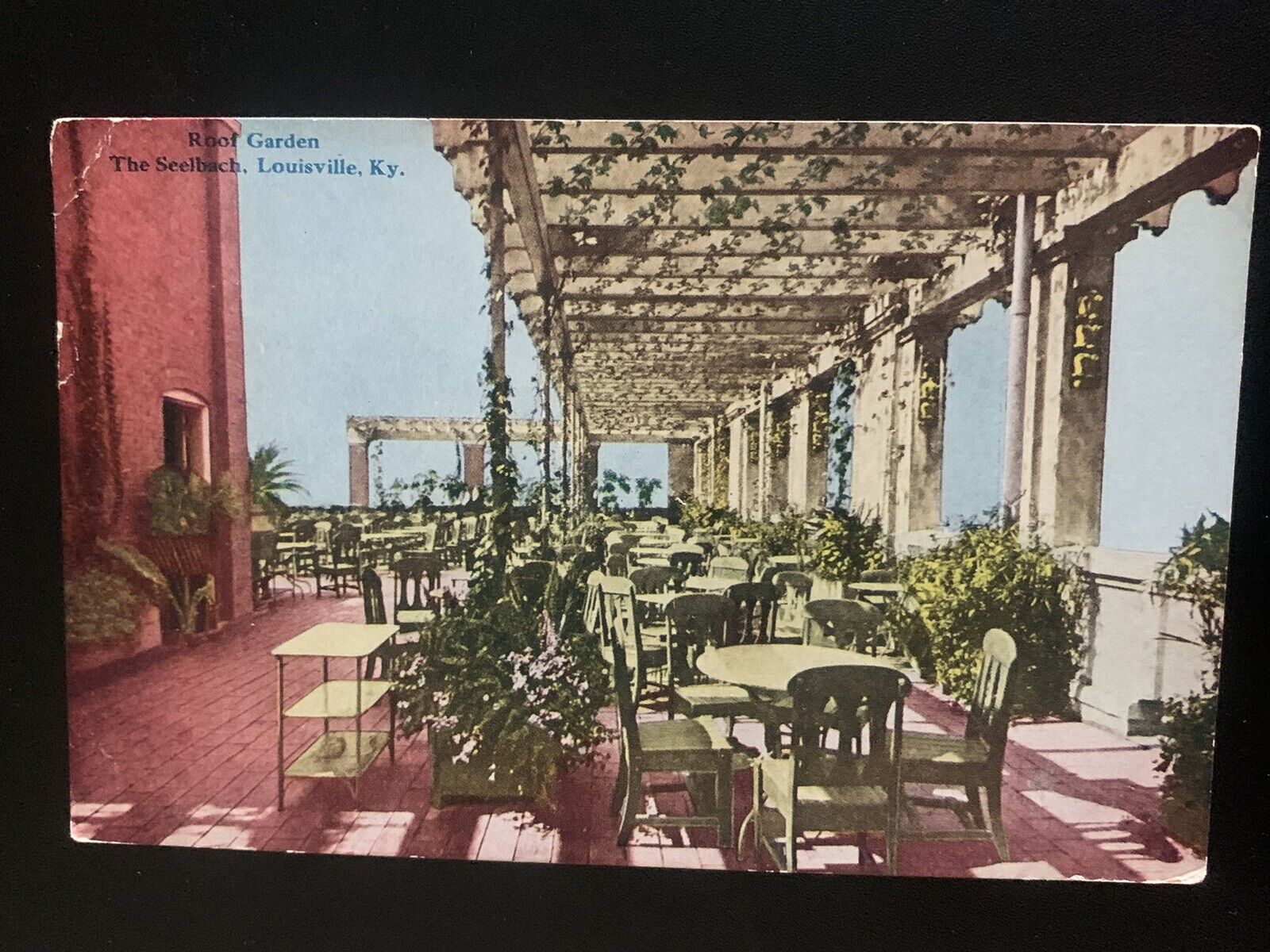Roof Garden The Seelbach, Louisville, KY. Vintage Postcard Posted 1912