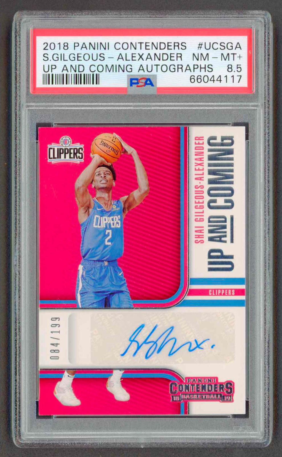 2018-19 Contenders Up & Coming Auto Shai Gilgeous-Alexander RC /199 PSA 8.5