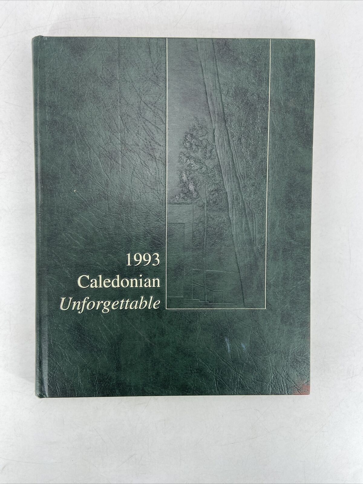 Campbell Hall High School 1993 Yearbook Caledonian