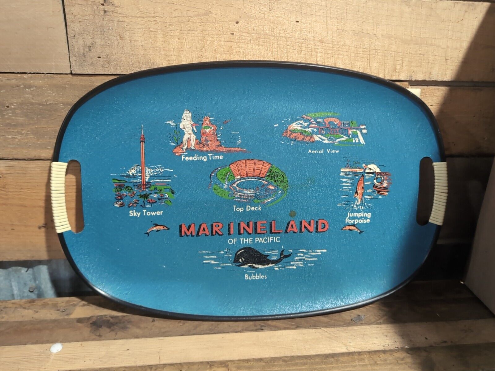 Vintage Tilso Serving Tray Marineland Japan