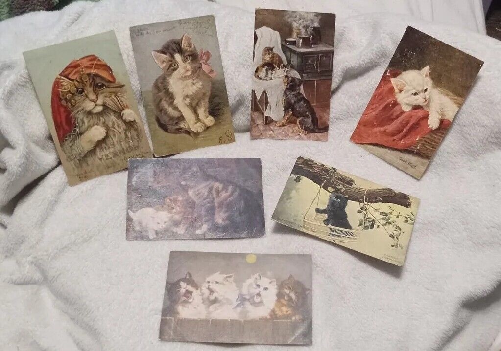 7- Vintage Artist Kitten postcards Used Postmarks 1907-1908