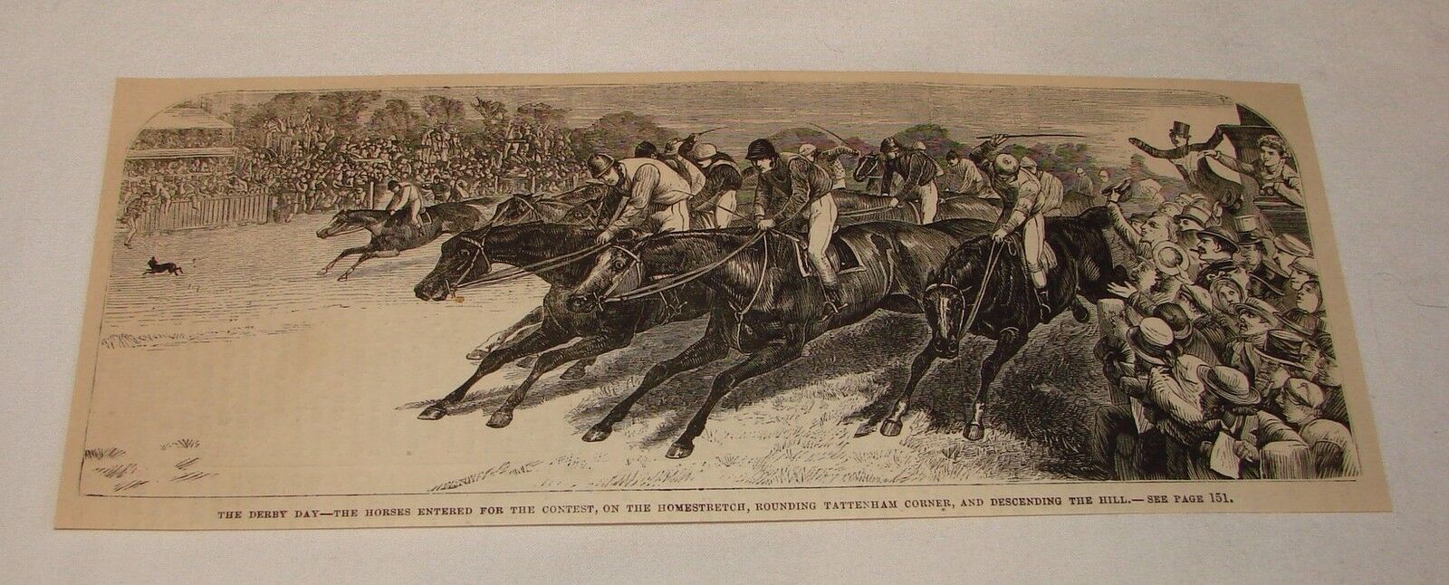 1879 magazine engraving ~ HORSES ENTERED FOR THE CONTEST