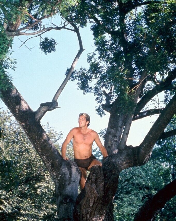 Tarzan Featuring Ron Ely 24x36 inch Poster in tree
