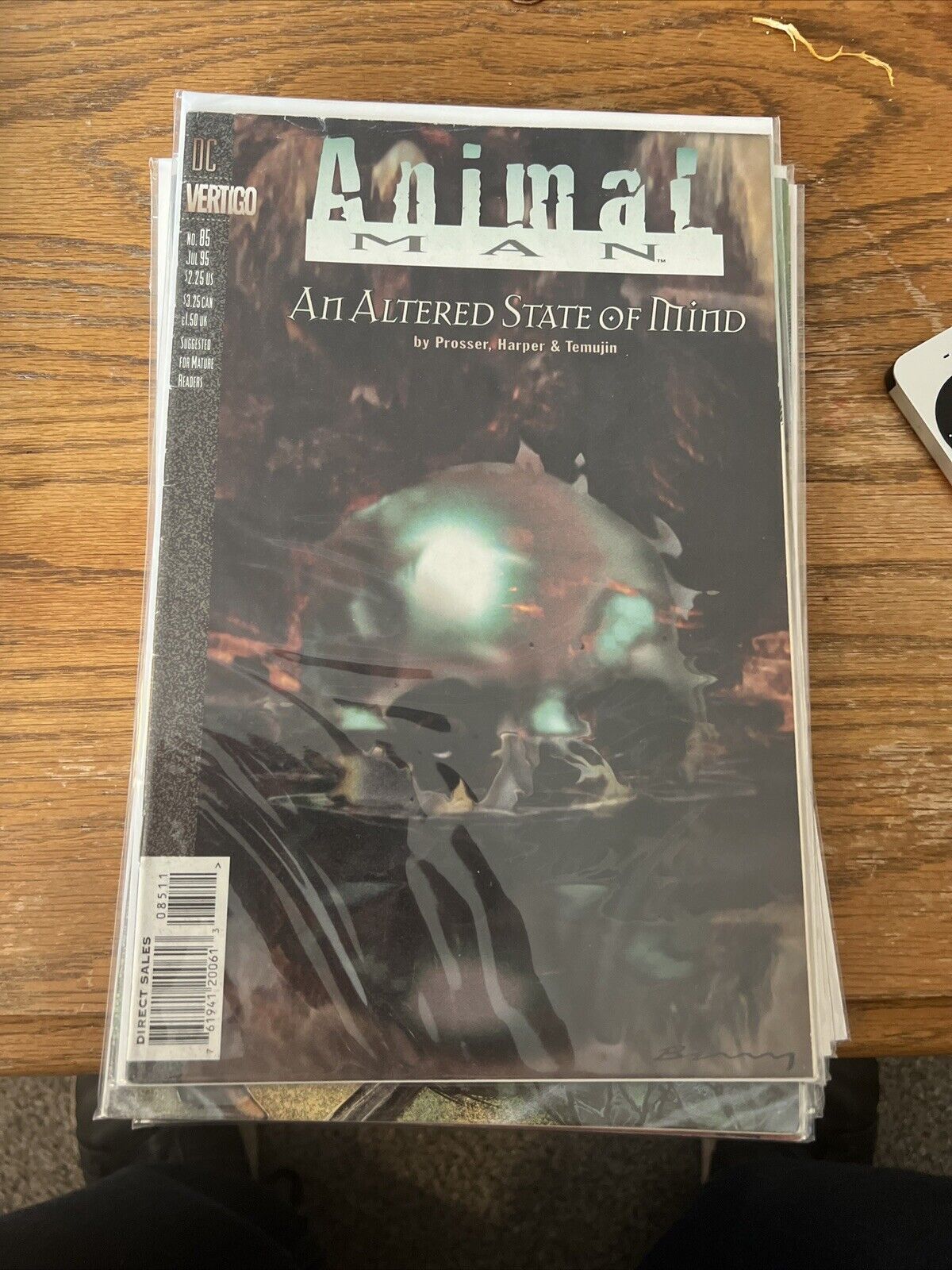 Animal Man #85 VG Condition DC Vertigo Comic Book First Print