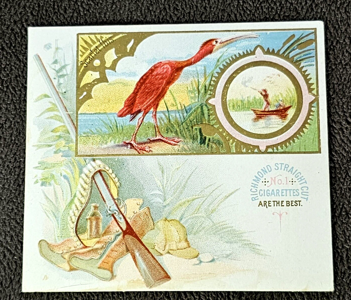 1888 N40 ALLEN & GINTER GAME BIRDS \