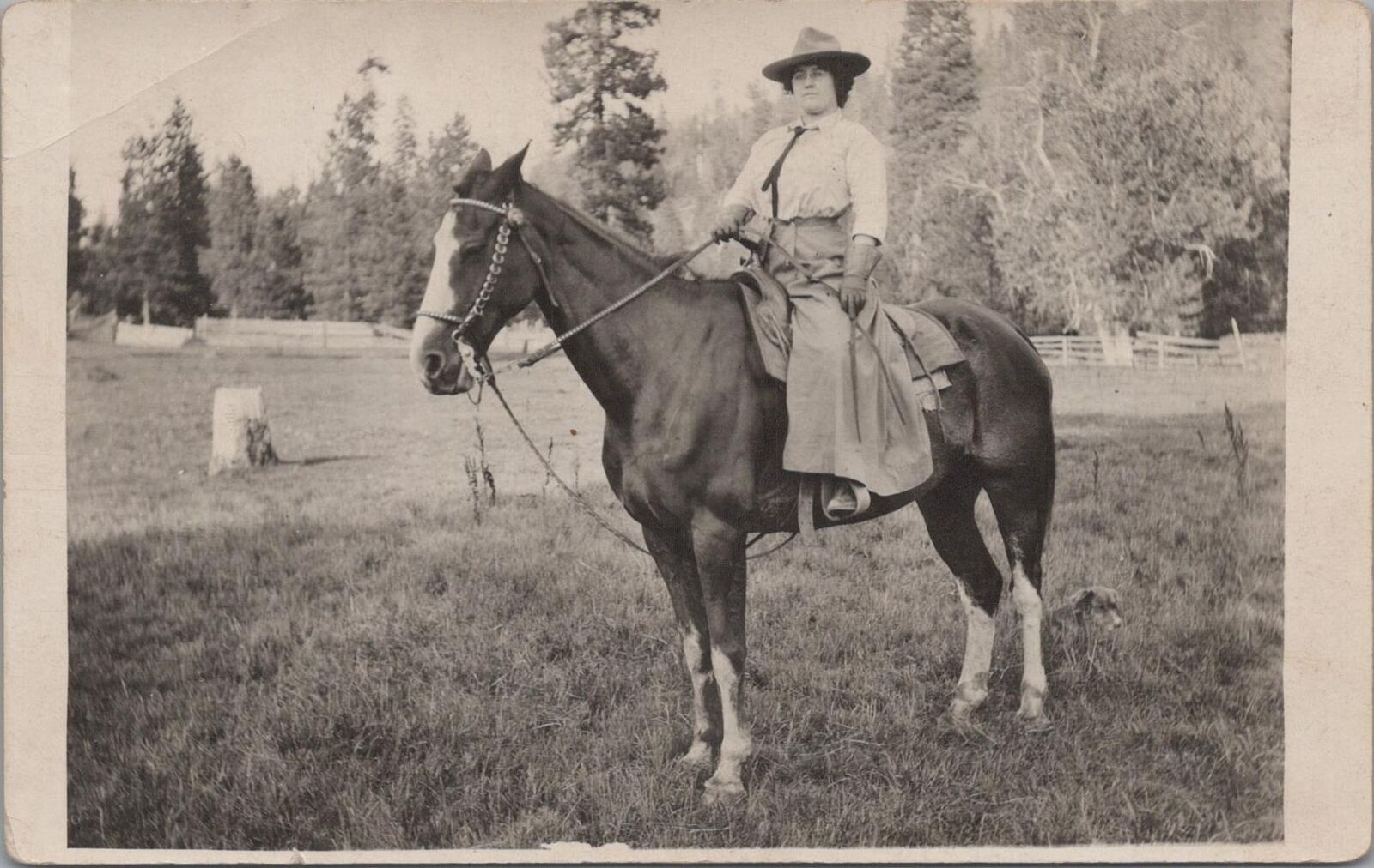 RPPC Postcard Woman Riding Horse c. 1900s 