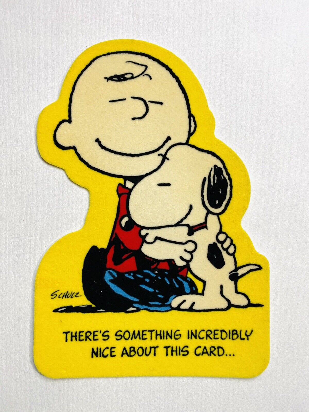 Vintage Hallmark The Peanuts Snoopy And Charlie Brown Flocked 9” Card