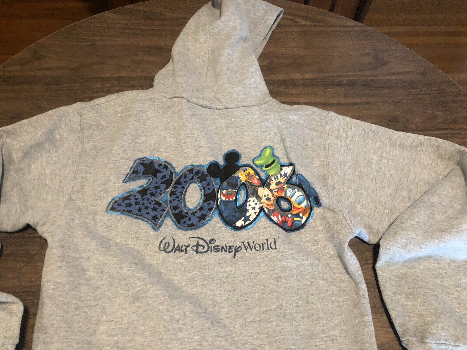 Walt Disney World 2006 Small Gray Hoodie Sweatshirt