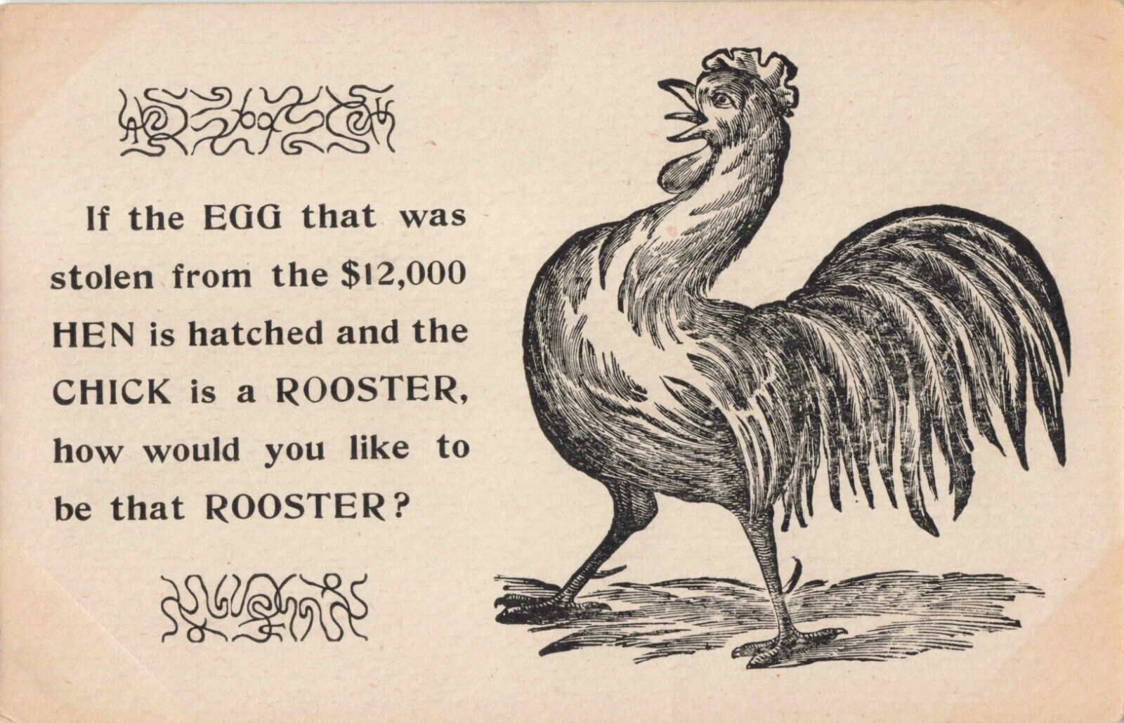 St Louis MO, Stolen Egg, $12,000 Hen, Rooster Chick RARE HTF, Vintage Postcard