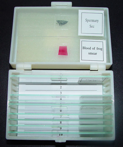 10 Prepared Microscope Slides from Animals, New, Cased