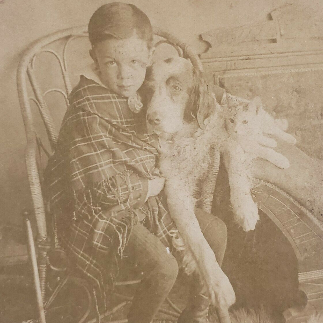 Cat Dog Stereoview Kilburn c1891 Boy Child With Pet Victorian Chair Photo O218
