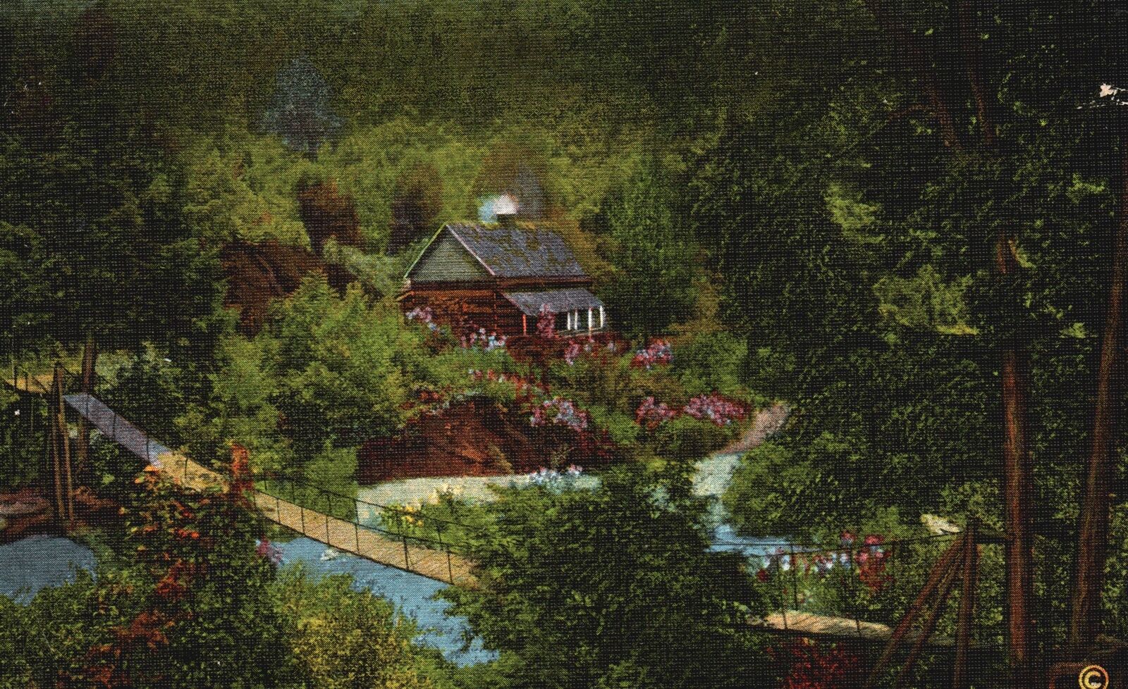Vintage Postcard Great Smoky Mountain National Park Foothills Swinging Bridge