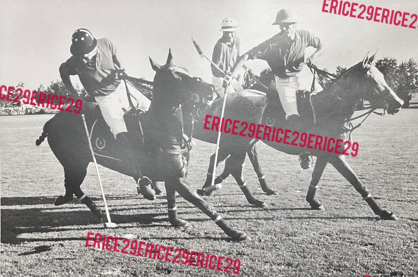 Three Polo Players On Horses Equestrian Polo OOAK B/W Photograph 16” x 20”
